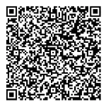 QR Code 1