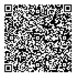 QR Code 2